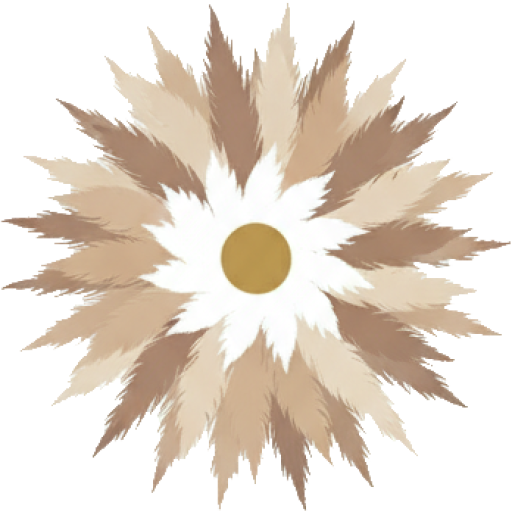 Lauramour CREATION